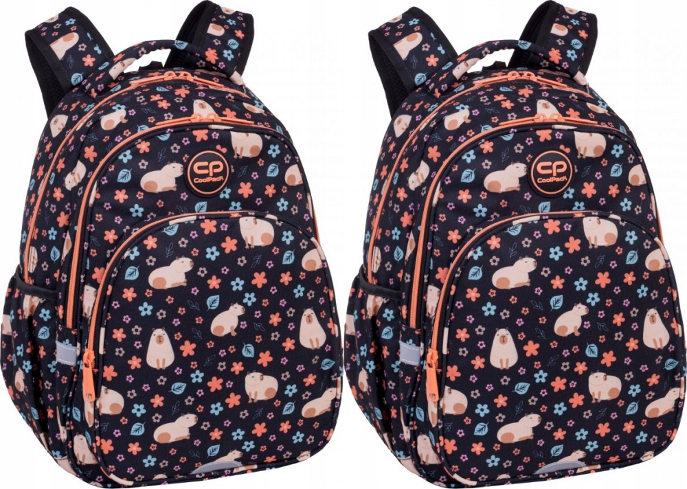 Školský batoh CoolPack Base Plus Capybara, dvojkomorový, 44x29x16cm - balenie 2 ks