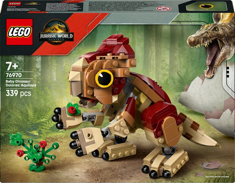 Doloresin malý dinosaurus: aquilops