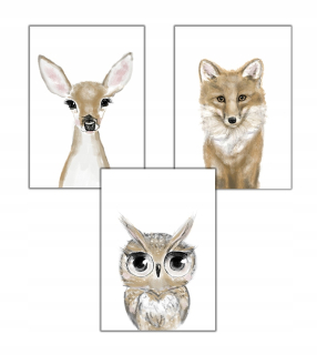 Obráz do detskej izby - 3 s plagátové zvieratá Roe Deer Fox Owl Retro A3