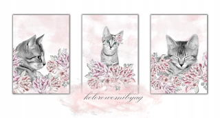 Obráz do detskej izby - 3 Sz plagáty pivonie mačka mačka kvety Pink A3