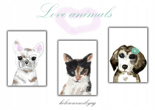 Obráz do detskej izby - 3 ks Cat Cat Shih Tzu Plagáty A4 plagáty