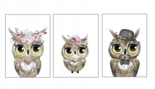 Obráz do detskej izby - 3 x Plagátová rodina Owl Owl Mama Dad Child A3