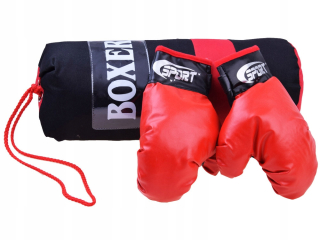 Boxing Boxing Kit Rukavice + Sack SP0565