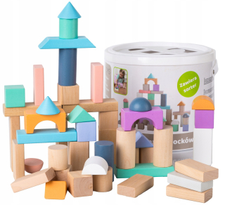 Drevené bloky 50 el. MONTESORI ECOTOYS SORTER