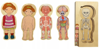 Drevená Puzzle Human Body Anatomy