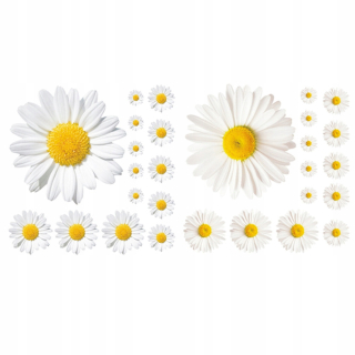 Samolepky do detskej izby - Tapeta s kvetinovým kvetom Daisy priľne