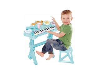 Big Ekonomické Piano Dve Farby Mikrofón Záznam