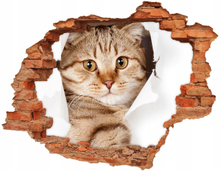Destké samolepky - Dierková 3D fototapeta na stenu Nálepka Mačka 90x70