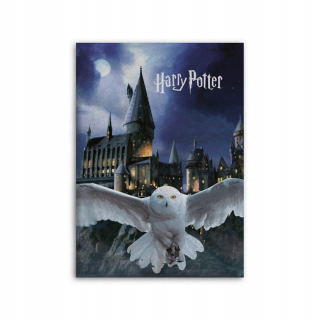 Prikrývka, prehozy na posteľ - Prikrývka sovy Harry Potter Fleece pre dieťa 100x140