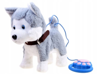 Interaktívny pes chodí na vodítku kôry Husky
