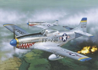TALERERI F-51D MUSTANG