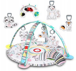 Interactive Educational Mat Lionela Paula