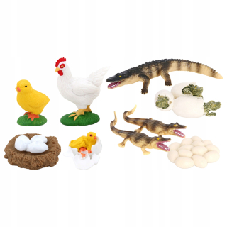 Vajcia 1 piece1 umenia larw1 umenie chicken1