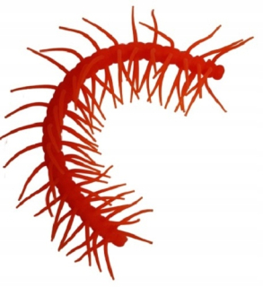 Jonototýky stresové postava centepede junior 15