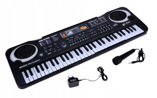 Keyborord Elektrický orgán Mikrofón Napájanie