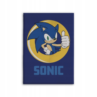 Prikrývka, prehozy na posteľ - Polárna prikrývka Sonic 100x140 Hedgehog Children's Hedgehog