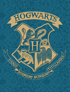 Prikrývka, prehozy na posteľ - Fleece prikrývka 130 x 170 cm Harry Potter HP-8189FB H