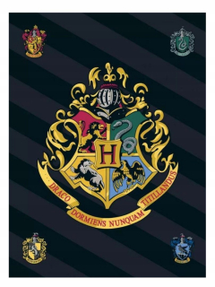 Prikrývka, prehozy na posteľ - Fleece prikrývka 120x140 Harry Potter pre dieťa, dnes