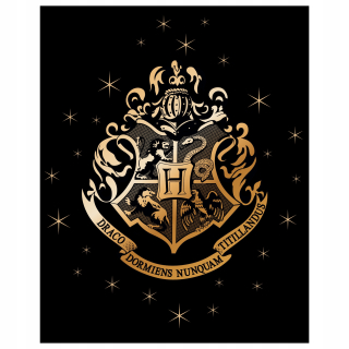 Prikrývka, prehozy na posteľ - Polárna prikrývka Harry Potter 120 cm x 150 cm