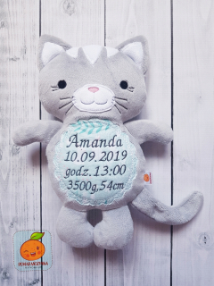 Detský vankúš - Kitty s rekordom, meno - pre darček