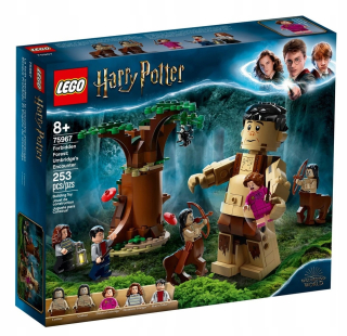 Stavebnica - LEGO 75967 Forbidden Forest: stretnutie Umbridge