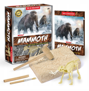 Mamut dinosaurus - výkop, kreatívna 3D hračka