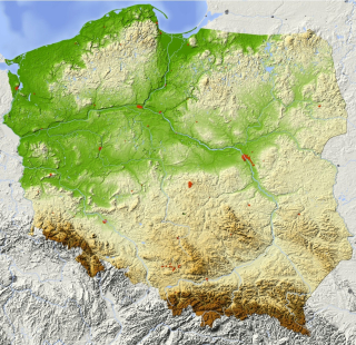 Šablóny na stenu - 045 svetlo ružová