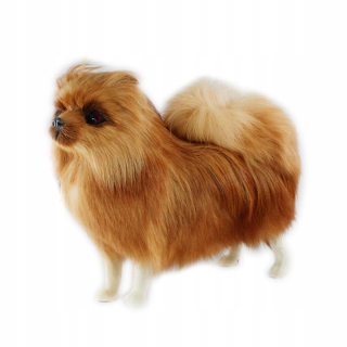 Maskot plyšový realistický pomeraniánsky simulácia t