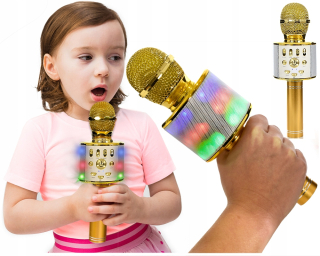 Mikrofón s reproduktorom a hlasovú modulátora LED