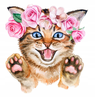Samolepky do detskej izby - Nálepka na stenu Cat Cat Cat 50 cm Eco