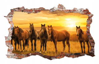 Samolepky do detskej izby - Nálepky na stenu dekorácie koní koní 115x75 cm