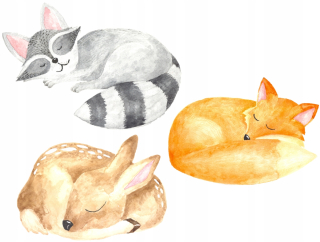 Samolepky do detskej izby - Nástenné nálepky spiace zvieratá Fox set 3x40cm