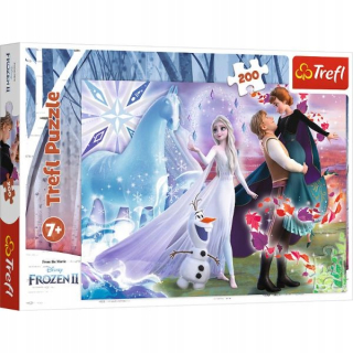 ND17_PU-9289 Puzzle Magické svet 200el sestry. F