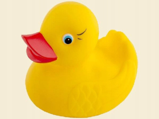 ND17_ZA-77826 Duck toy b. Big 104A