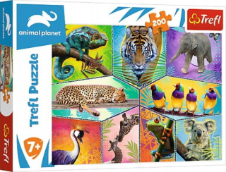 ND17_ZB-134347 Puzzle 200el V exotickom svete.