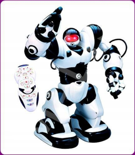 ND21_102204 Robot 33cm Roboactor