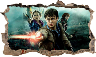 Samolepky do detskej izby - Nálepkový plagát Harry Potter 3d xxxxl 100 cm č. 4