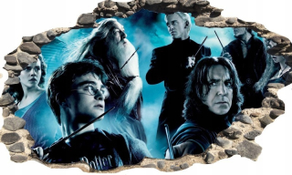 Samolepky do detskej izby - Harry Potter Wall Sticker otvor v stene