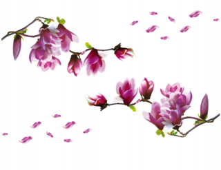 Samolepky do detskej izby - Nástenné nálepky Magnolia Magnolia Flowers 2 PCS