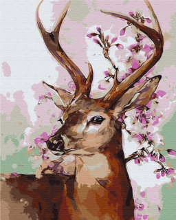 Paint It! Maľovanie po číslach. DEER A KWI