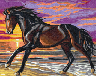 Paint It! Maľovanie po číslach. Kôň na úteku