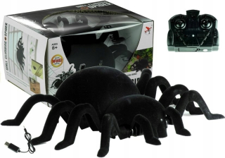 Tarantula pavúk chodí na stenu svietiace + pilot