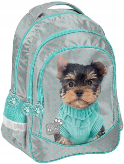 Školská taška, batoh - Passo School Batchpack Pth-181 Pes s sveter