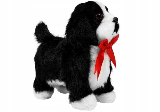 Interaktívne dog venčenie domácich miláčikov kôra + hudba