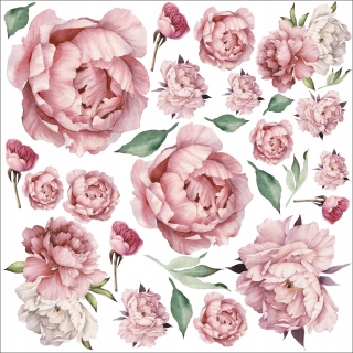 Samolepky do detskej izby - Pivonáky nástenné nálepky Peon Roses 100x100 cm k