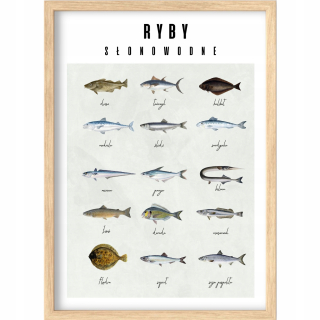 Detský obraz - PLAGÁT 50X70 DRUHOV RÝB SLANÉ RYBY LOV RYB NÁUČNÝ OBRÁZOK