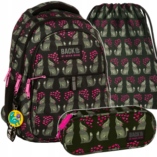 Školská taška - batoh, set, zostava - Backpack of Youth Backup Set School Liski