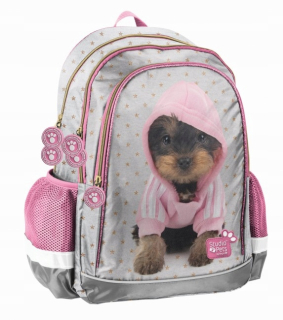 Školský batoh - ŠKOLSKÝ BATOH PASO PETS PIEEK (YORK): PTJ-081