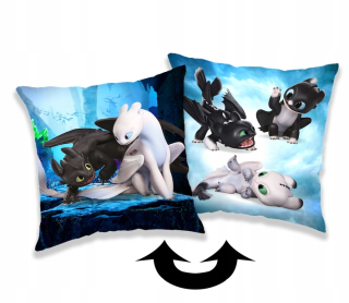 Detský dekoračný vankúš - Dragon Riders Cushion 40x40 Fury Ako trénovať
