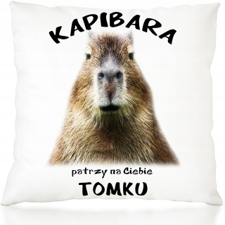Detský vankúš - Vankúš Kapibara + meno vtipné zvieracie darček